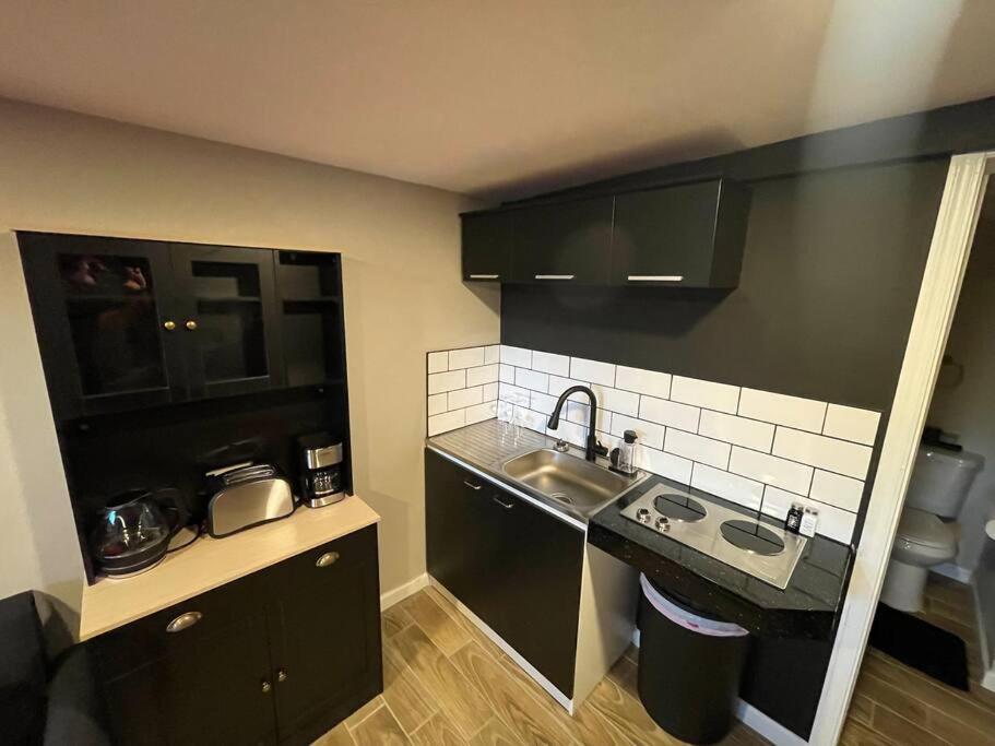 New Midtown Modern Studio With Backyard فينيكس المظهر الخارجي الصورة