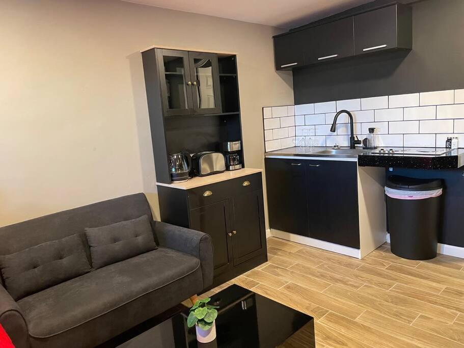 New Midtown Modern Studio With Backyard فينيكس المظهر الخارجي الصورة